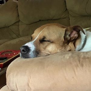 Meet your Posher, Suzanne